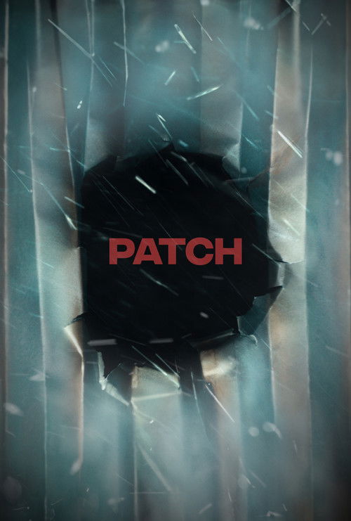 Patch (2024) poster