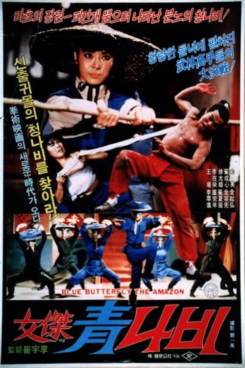 여걸 청나비 (1984) poster