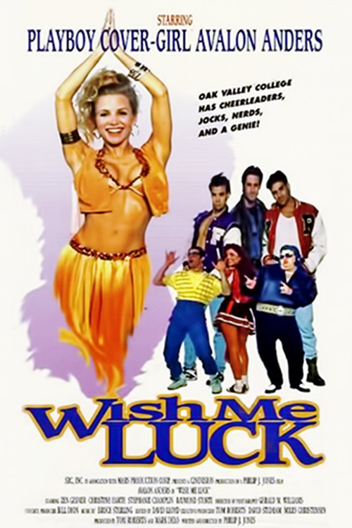 Wish Me Luck (1995) poster