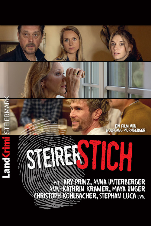 Steirerstich (2025) poster