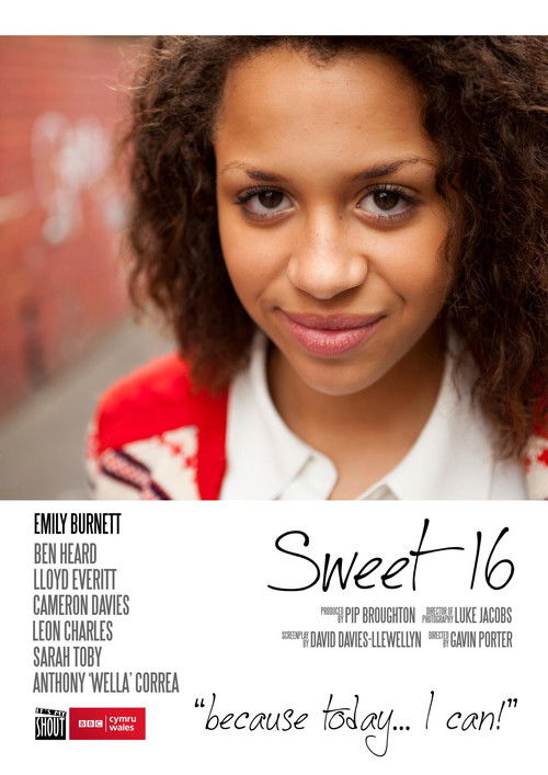 Sweet Sixteen (2011) poster