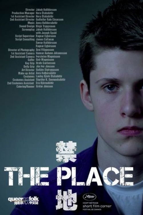 Pleisið (2009) poster