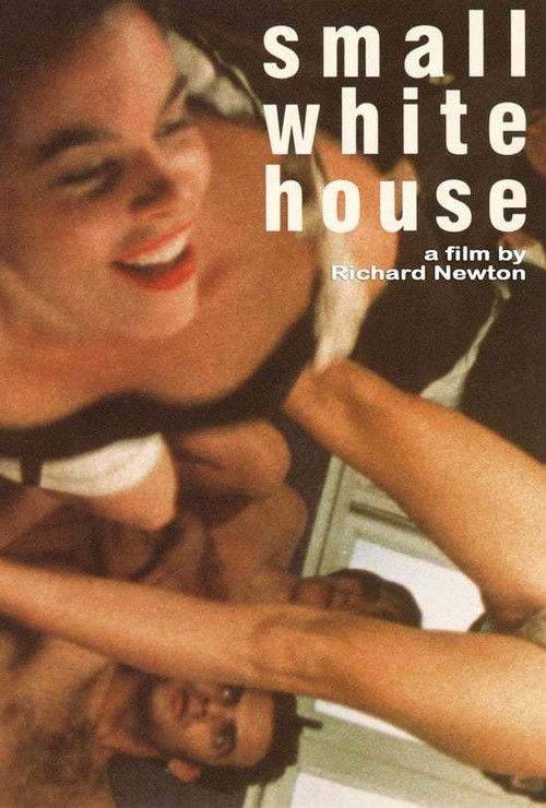 Small White House (1990) poster
