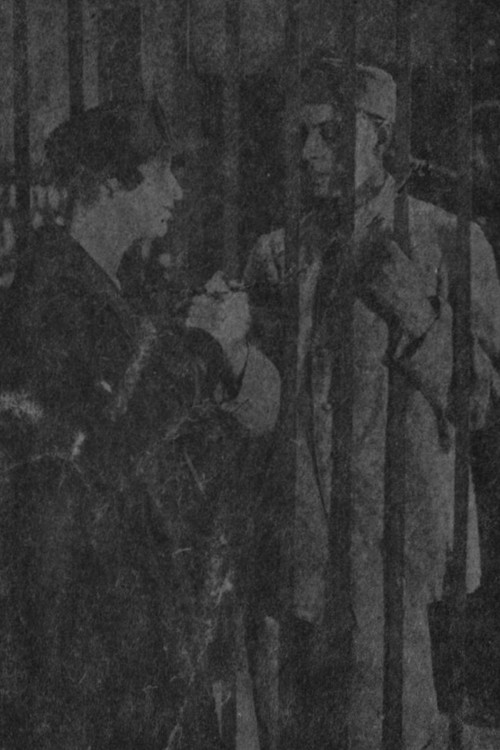 The Backdrop Of Happiness (1918) poster