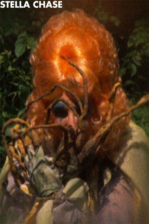 Stella Chase (1974) poster