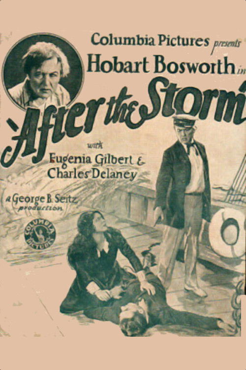 After the Storm (1928) poster