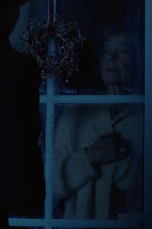 Winter Days (2019) poster