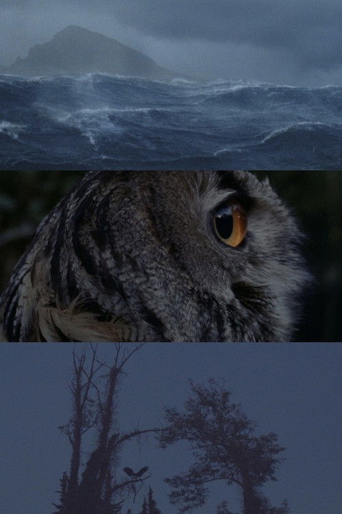 Places We'll Breathe (2022) poster