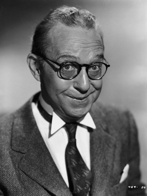 A Doggone Mixup (1938) poster