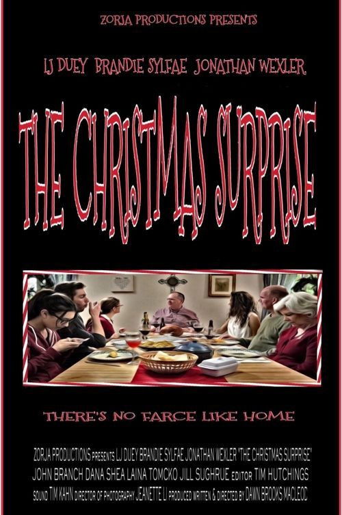 The Christmas Surprise (2015) poster