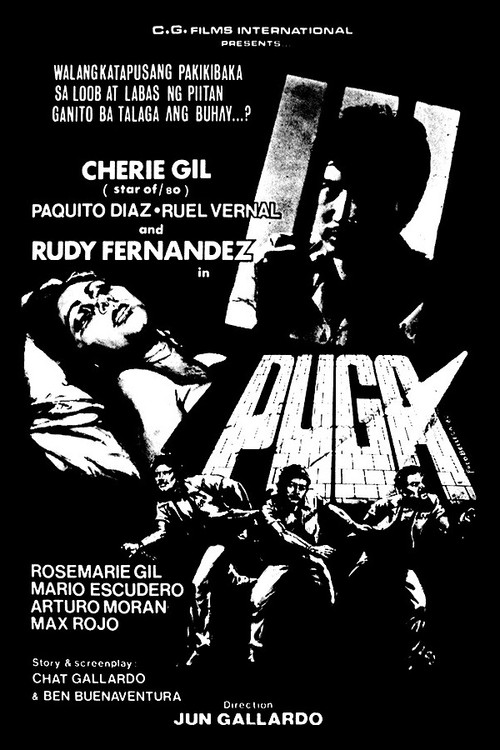 Puga (1980) poster