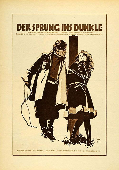 Der Sprung ins Dunkle (1920) poster