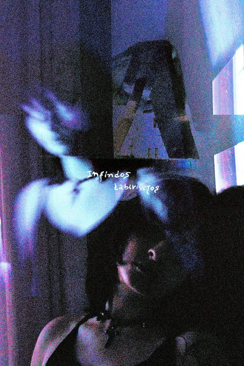 Endless labyrinths (2025) poster