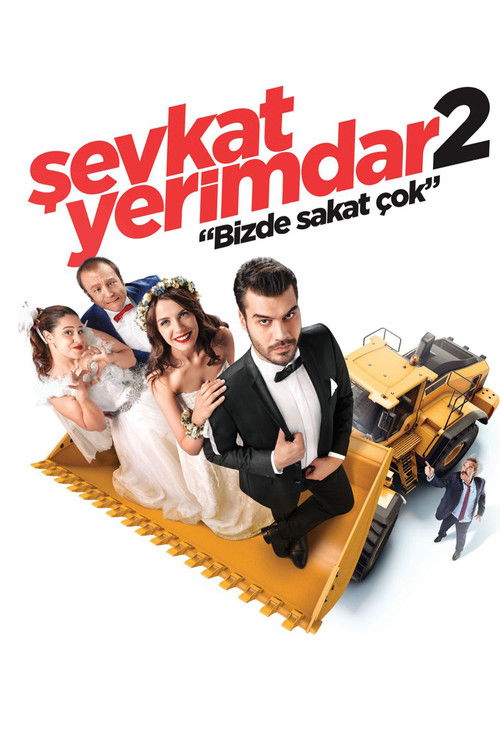 Şevkat Yerimdar 2 (2016) poster