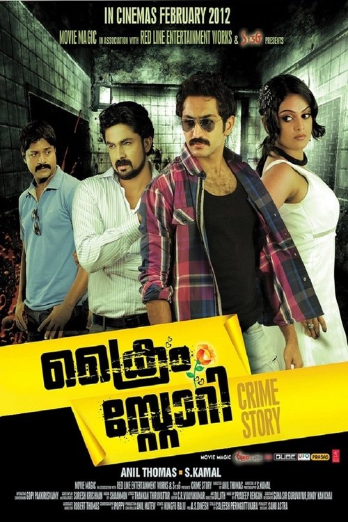 Crime story (2012) poster