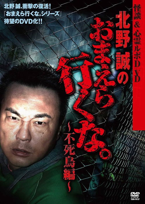 Ghost Stories & Spiritual Investigation - DVD Makoto Kitano: Don’t You Guys Go - Phoenix Edition (2010) poster