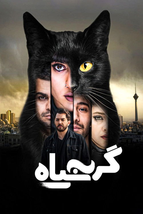 گربه سیاه (2021) poster