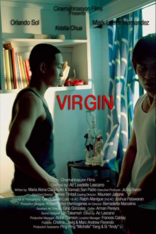 Virgin (2012) poster