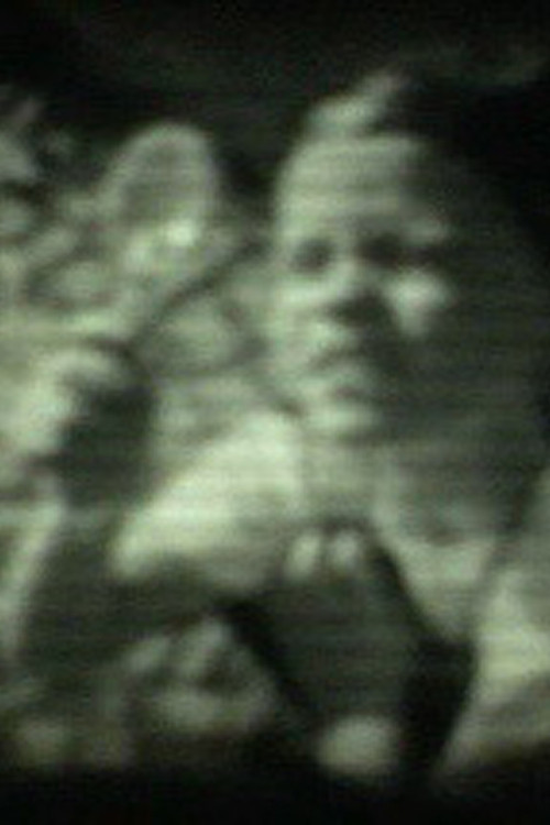 What I Remember (1997) poster