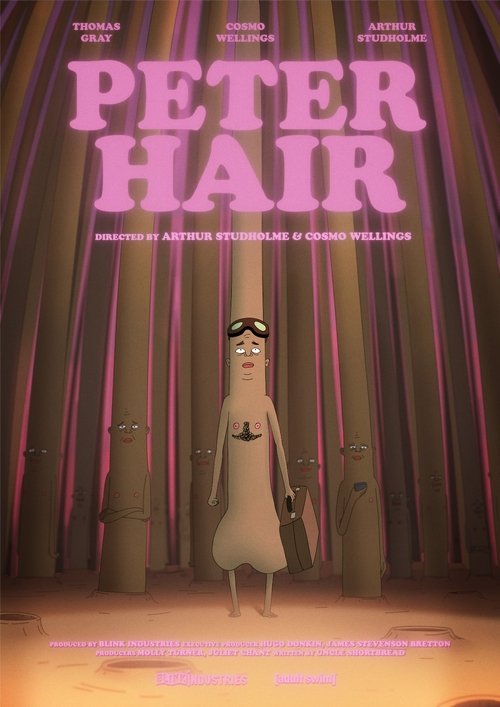 Peter Hair (2025) poster