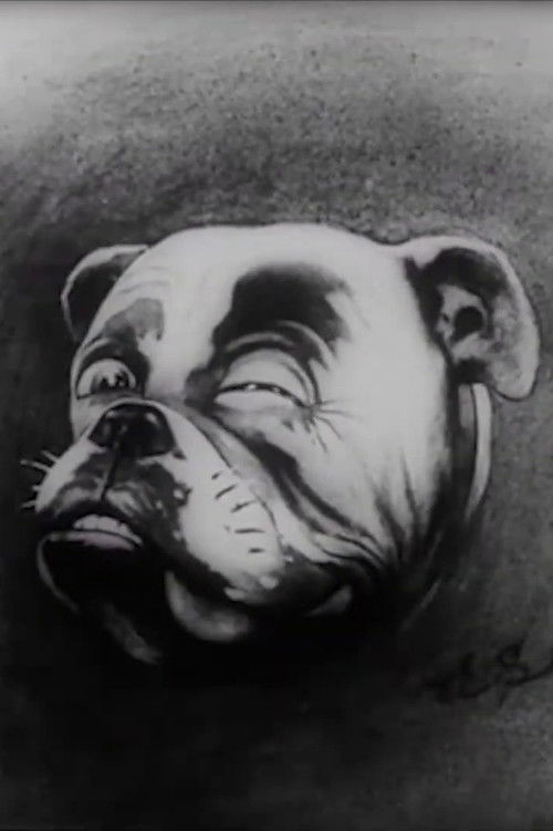 Studdy's War Cartoons (1915) poster