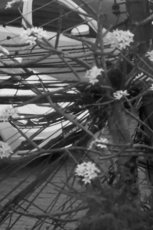 Só mais uma antes do Verme Eterno devorar Botafogo - Parte 2 (2023) poster