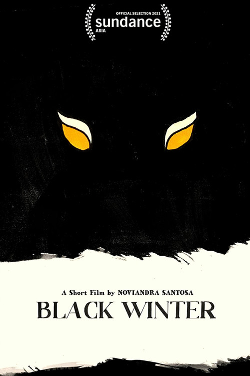 Black Winter poster