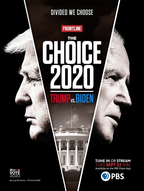 The Choice 2020: Trump vs. Biden (2020) poster
