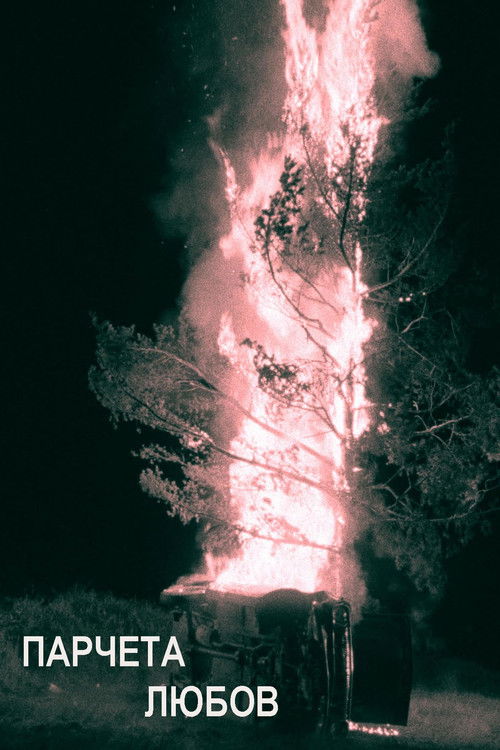 Pieces of love (1989) poster