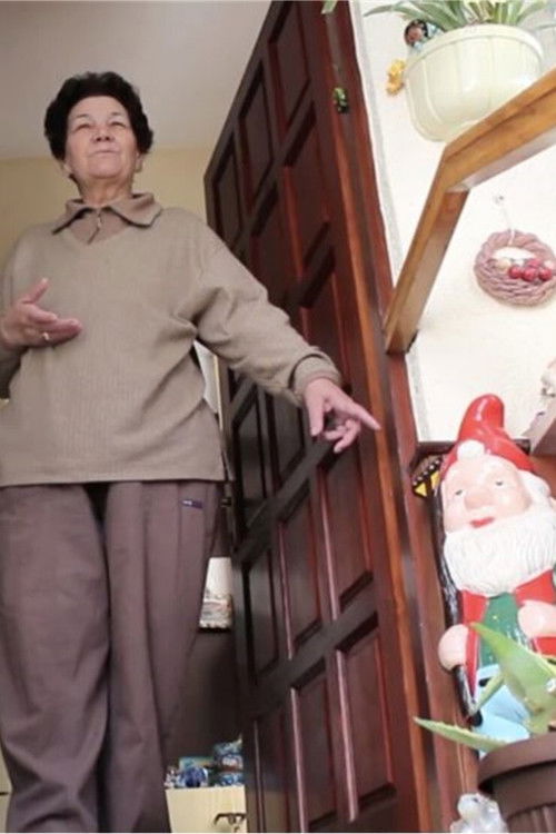 Home Is Where the Heart Is (2013) poster