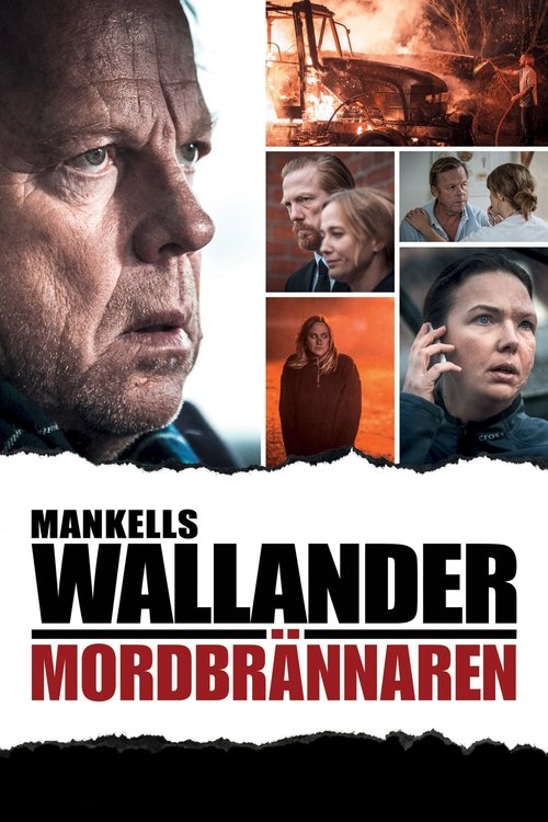 Mordbrännaren (2013) poster