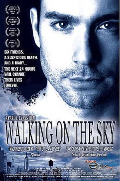 Walking on the Sky (2005) poster