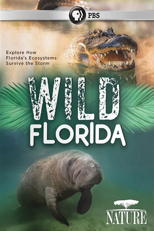 Wild Florida (2020) poster