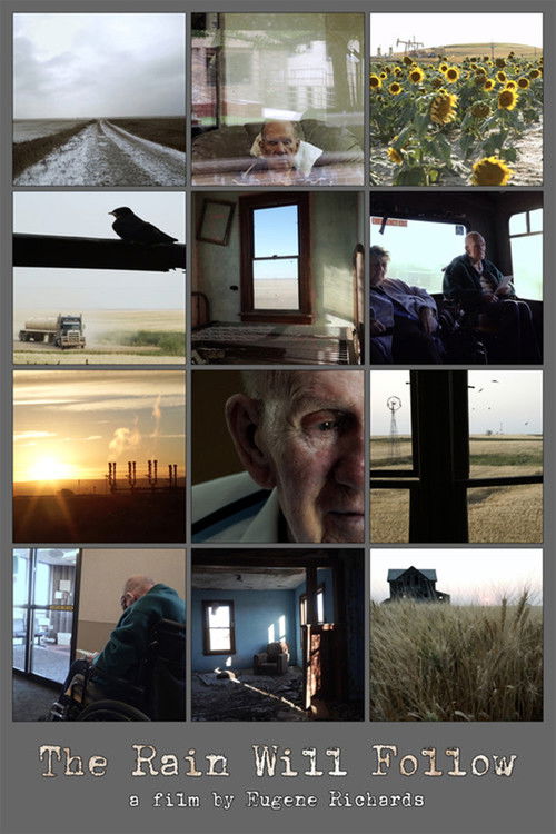 The Rain Will Follow (2016) poster