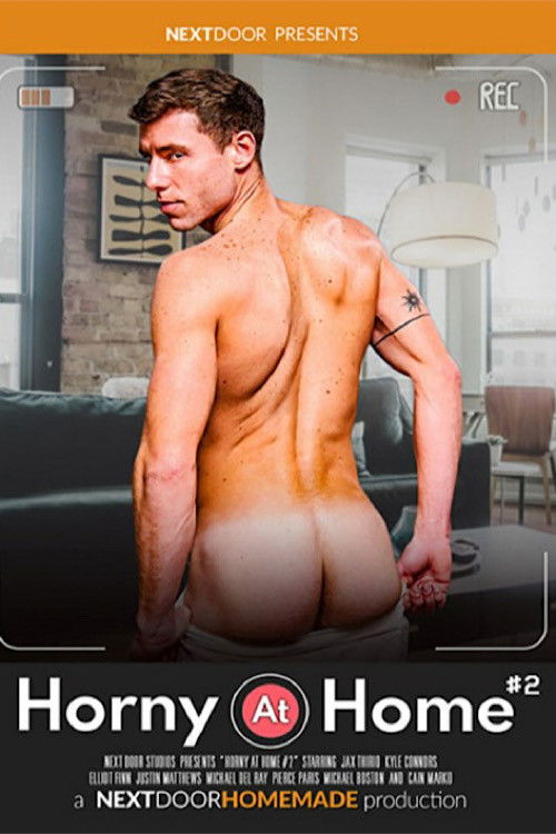 Horny at Home 2 (2023) poster