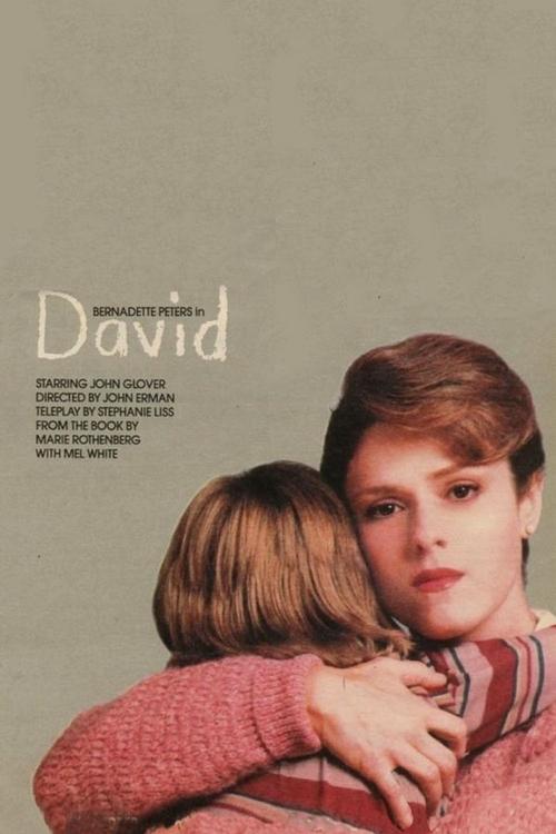 David (1988) poster