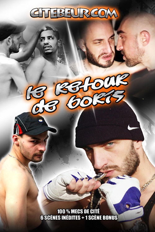 Boris Returns (2008) poster