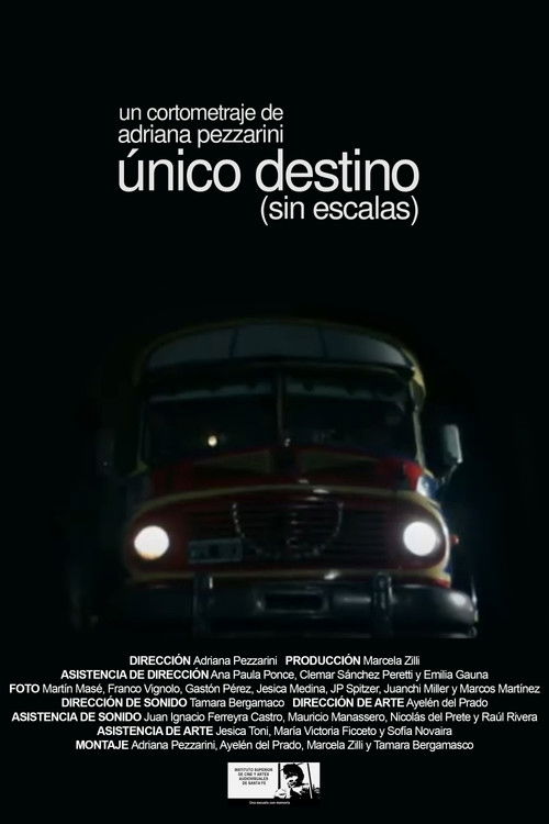 Único destino (sin escala) (2012) poster