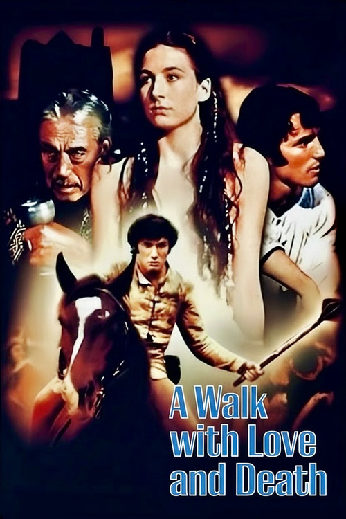 A Walk with Love and Death (1969) poster