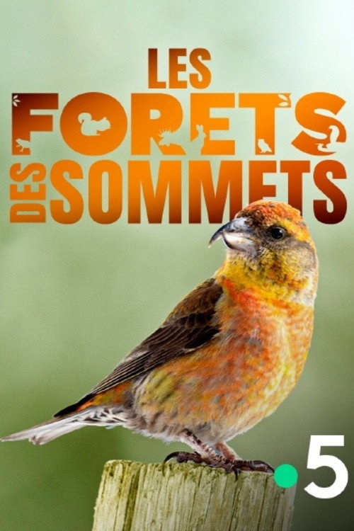Les forêts des sommets (2017) poster