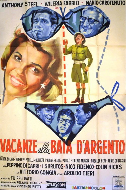 Holidays at Silver Bay (1961) poster