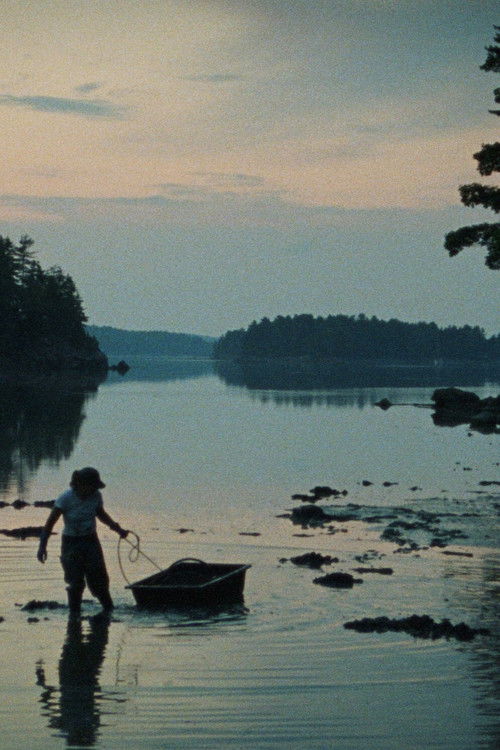 Double Tide (2009) poster