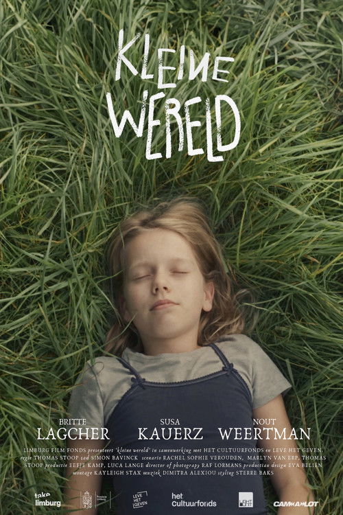 Small World (2025) poster