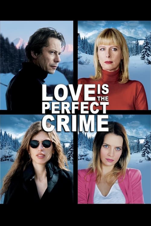 Love Is the Perfect Crime (2013) poster