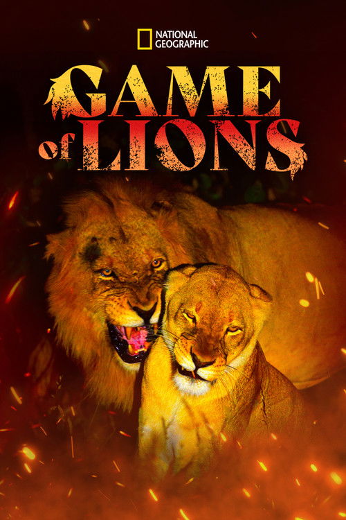 Game of Lions (2013) poster