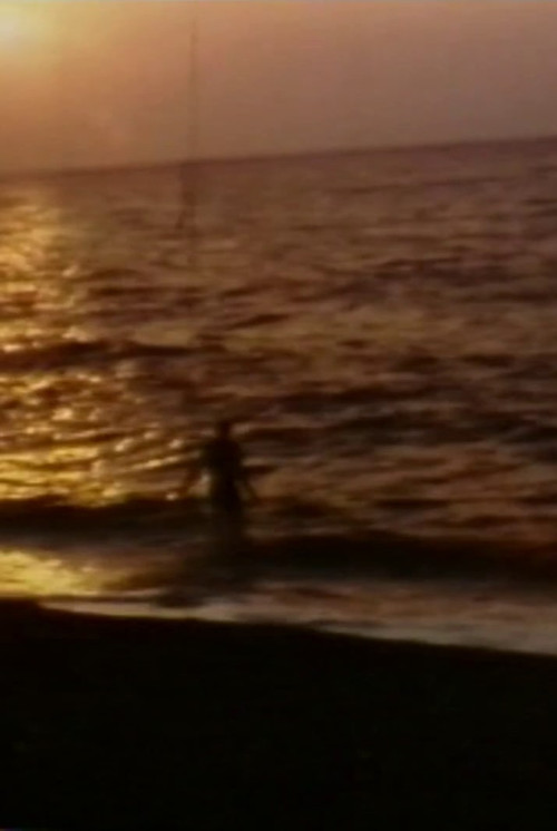 Beach House (2015) poster