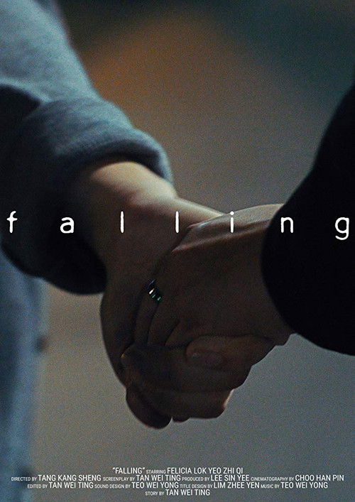 Falling (2016) poster