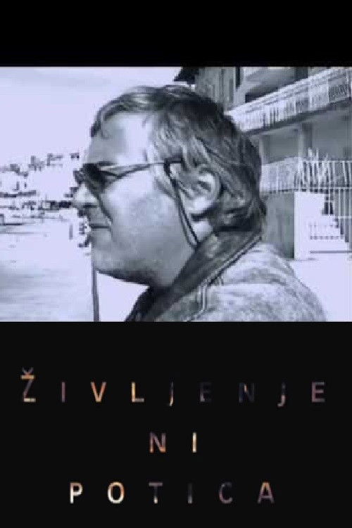 Zoran Predin - Life Is Not a Nut Roll (2003) poster