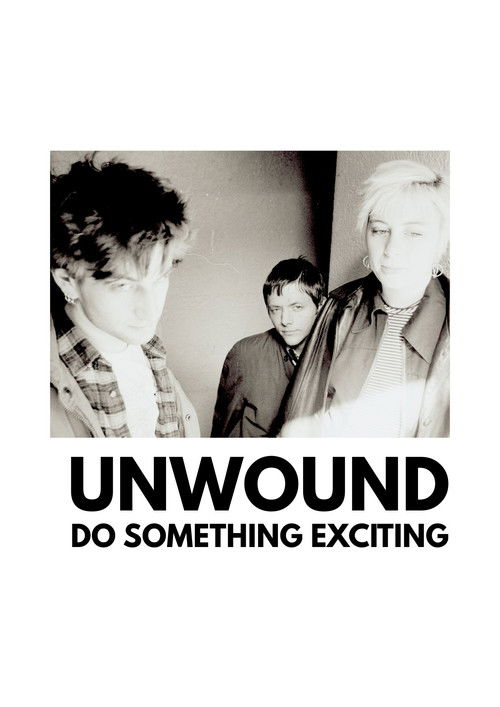 Unwound - Do Something Exciting (2016) poster