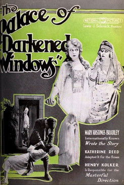 The Palace of Darkened Windows (1920) poster